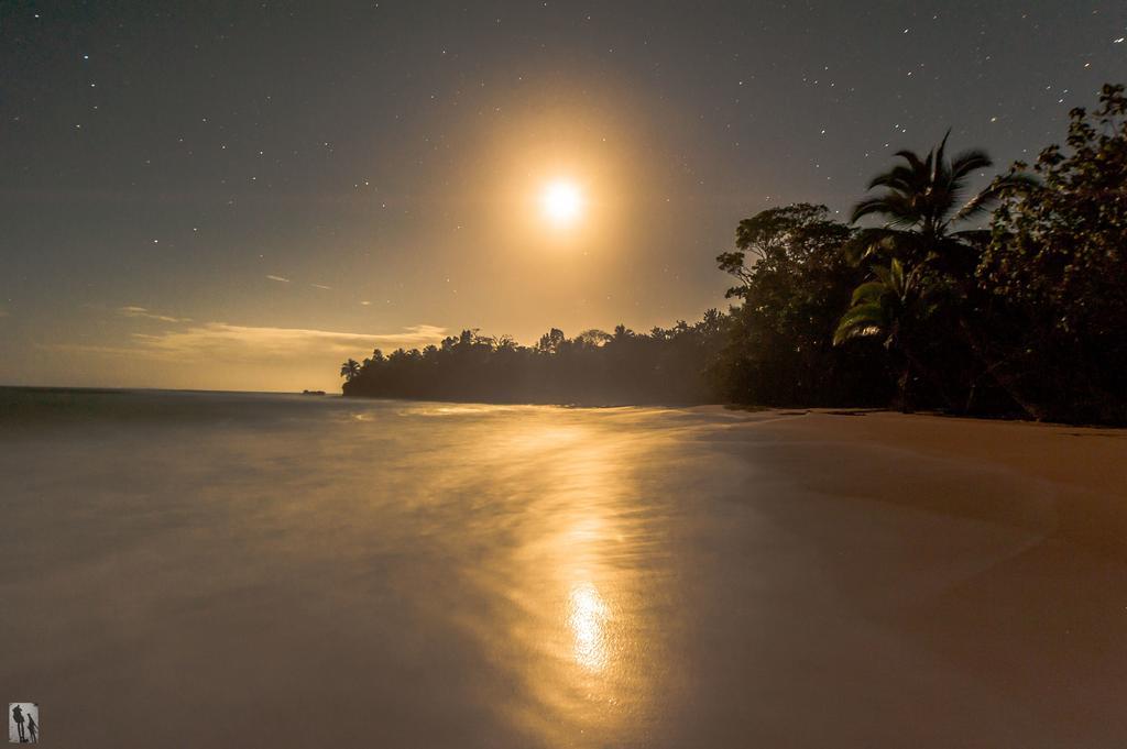 Aqua Point Condos Rentals Bocas Town Kültér fotó