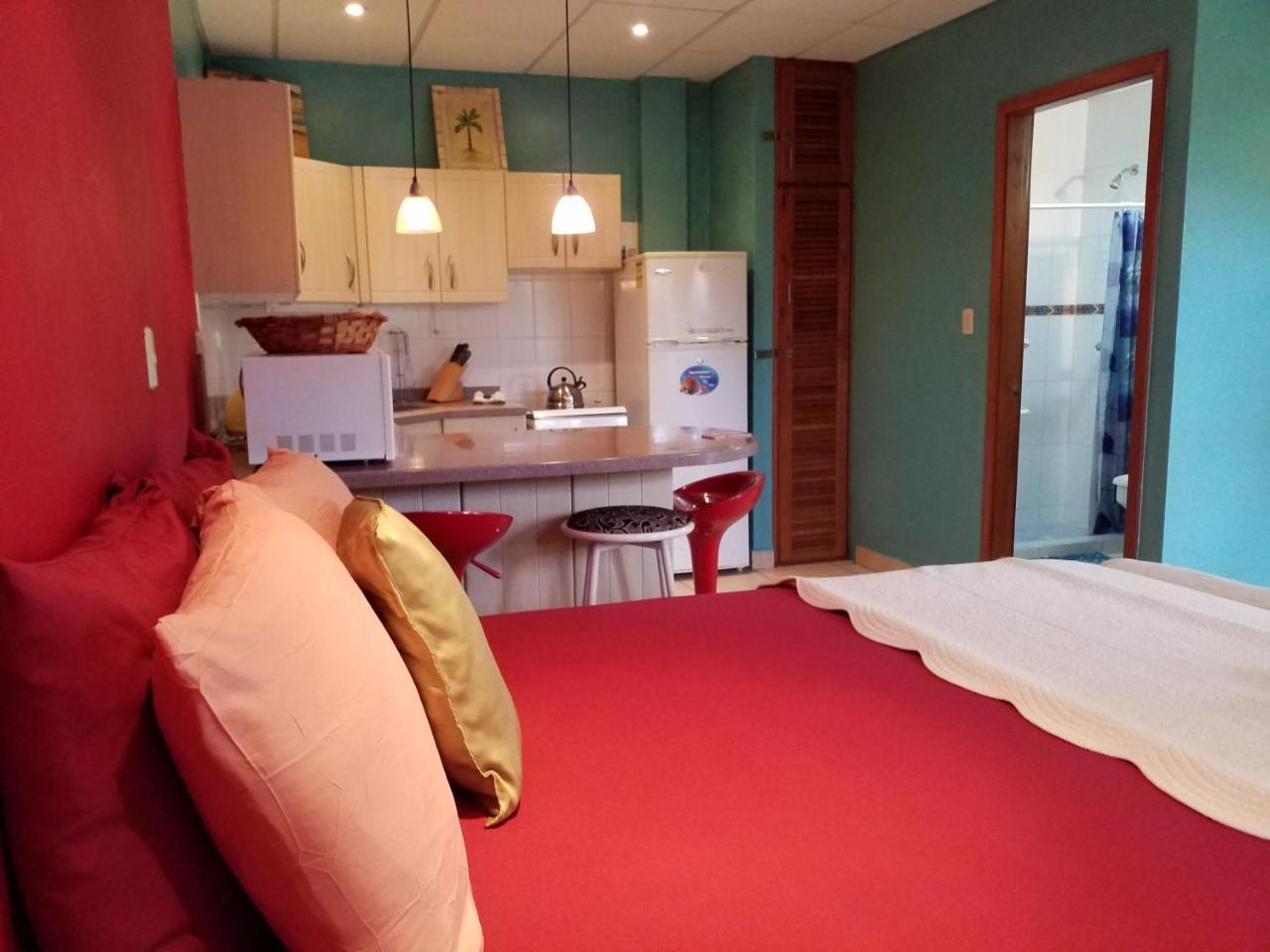 Aqua Point Condos Rentals Bocas Town Kültér fotó