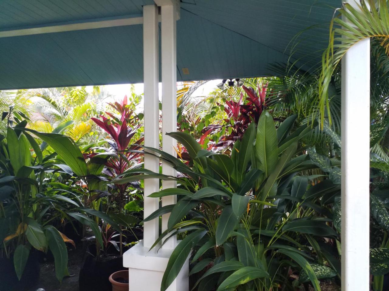 Aqua Point Condos Rentals Bocas Town Kültér fotó